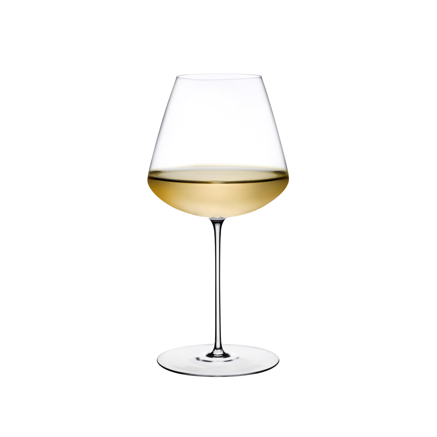 Ion Shatter Resistant Wine Glass (S/2)