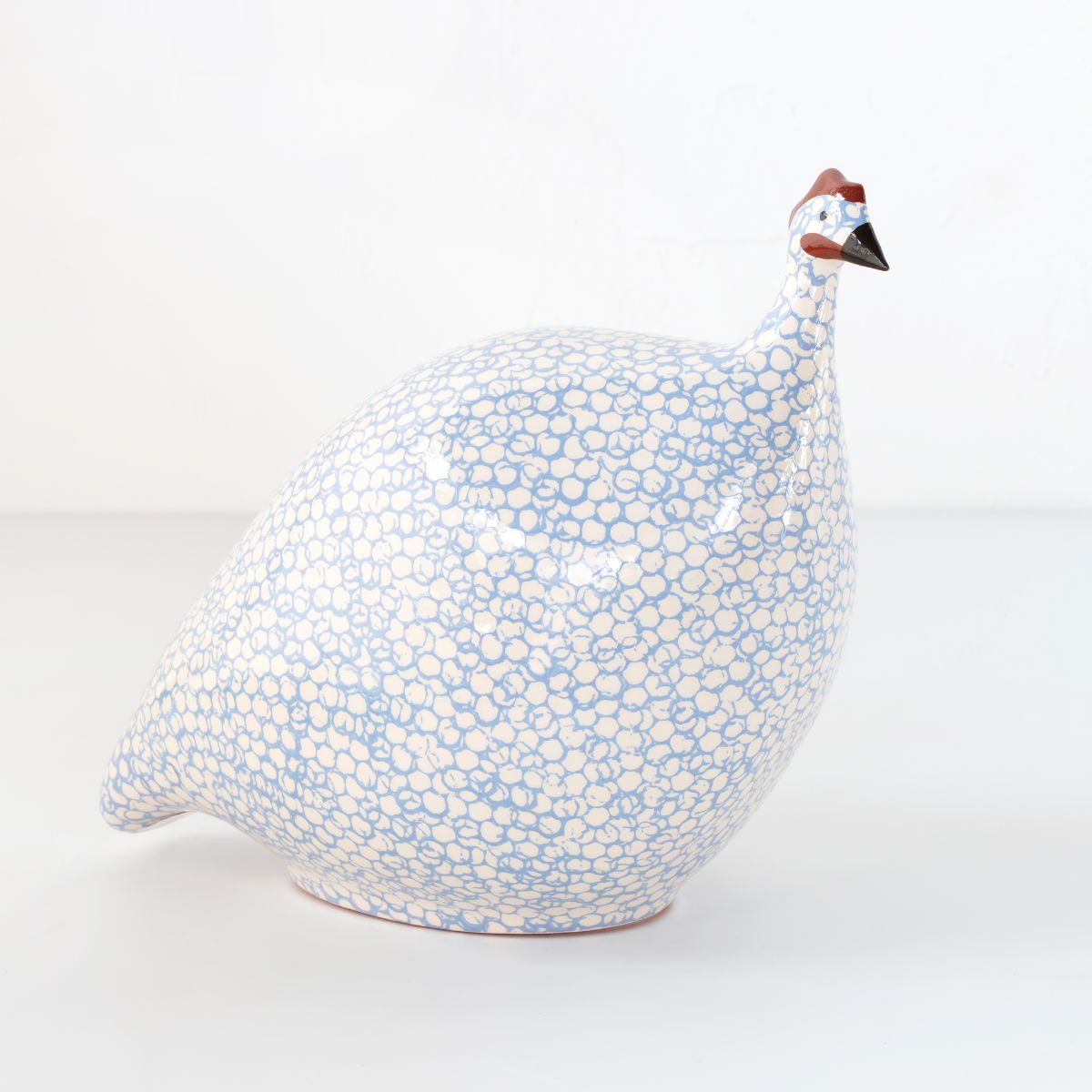 White with Baby Blue Guinea Hen