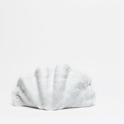 Plaster Clam Shell