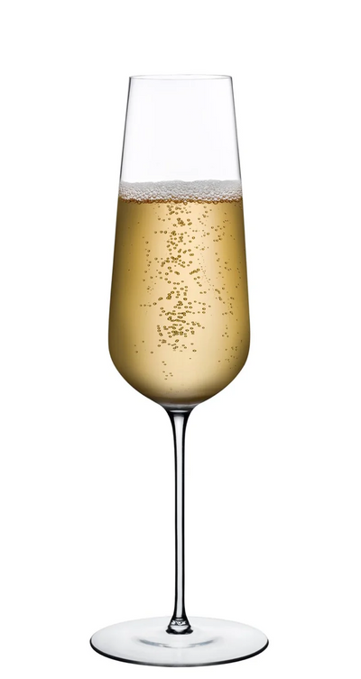 Ion Shatter Resistant Champagne Glass (S/2)