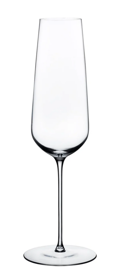 Ion Shatter Resistant Champagne Glass (S/2)